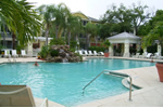 Visit the Official Website of South Tampa's  tropical oasis.