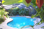 Tropical and private pool area of St Petersburg Florida home marketed by Sharon Simms real estate agent  ALVA International, Inc.Real Estate St Petersburg Florida Tampa Bay